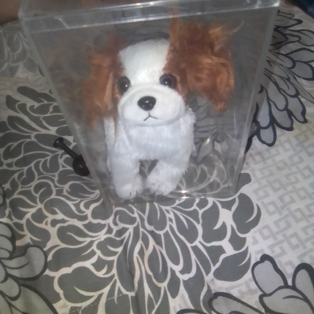 Ty stuff dog